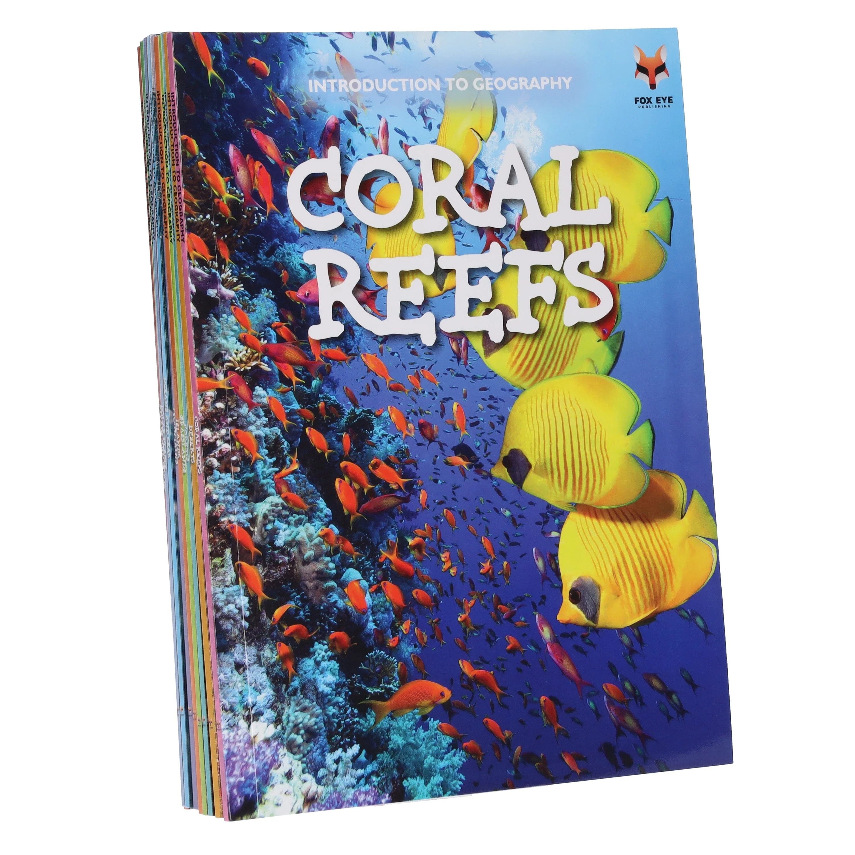 Introduction to Geography for Beginners 10 Books Collection Set By Woodpecker