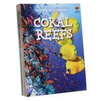 Introduction to Geography for Beginners 10 Books Collection Set By Woodpecker